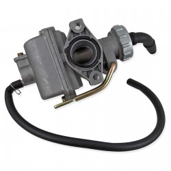 Replacement Carburetor Assembly with Fuel Filter for Taotao 110cc ATA110 B D F L ATV